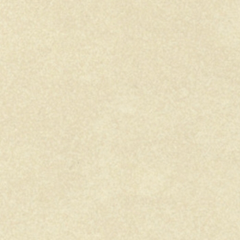Iris Deluxe Crema 12 x 24