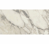 StonePeak Carrara Select Arabescato 12 x 24 Polished