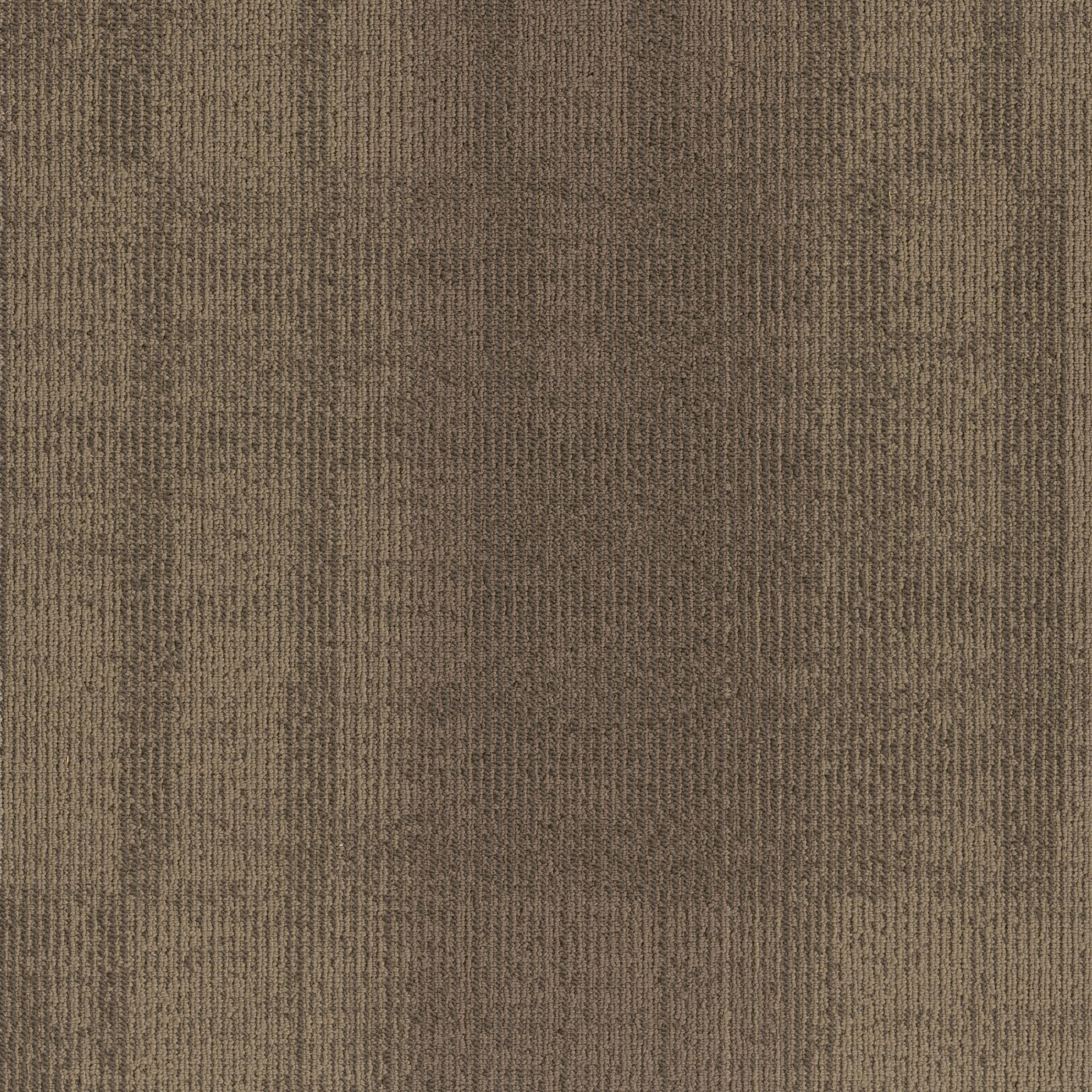 J+J Flooring Well Versed Dickenson