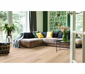 Johnson Oak Grove Laurel