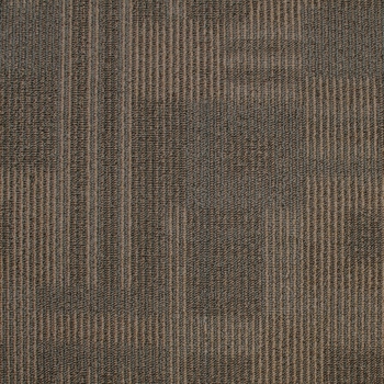 Kraus Dimensions Sand Script