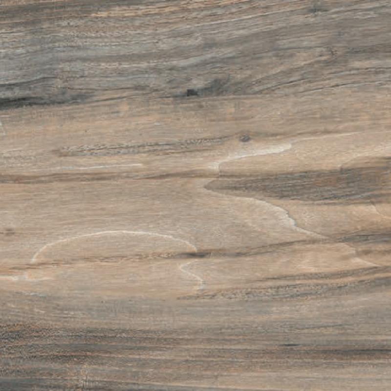 La Fabbrica Kauri Fiordland