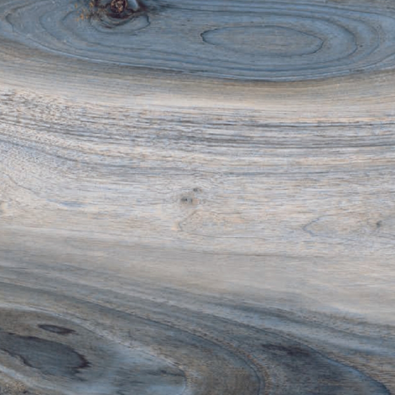 La Fabbrica Kauri Tasman