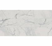 Landmark Charme Veined Statuario 12 x 24