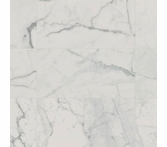 Landmark Charme Veined Statuario 24 x 48