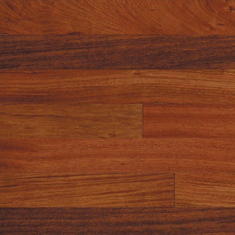 Lauzon Bahia Brazilian Cherry