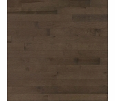 Lauzon Expert Decor Alpaca Solid 4 1/4 Maple Hardwood