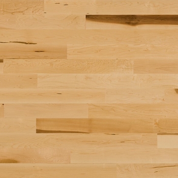 Lauzon Expert Decor Natural Solid 3 1/4 Maple Hardwood