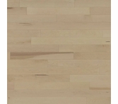 Lauzon Expert Decor Vela 4 1/8 inch Maple Hardwood