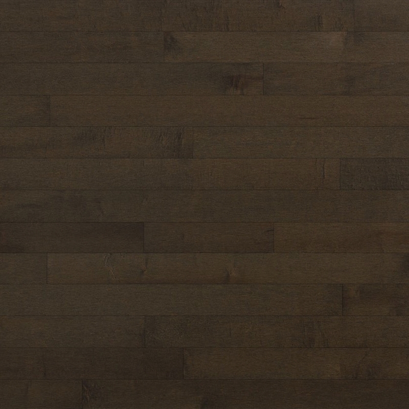Lauzon Expert Essentials Castano 3 1/8 inch Maple Hardwood