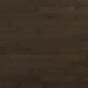 Lauzon Expert Essentials Castano Solid 3 1/4 Maple Hardwood