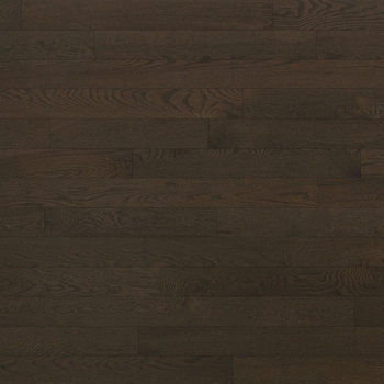 Lauzon Expert Essentials Castano Solid 4 1/4 Red Oak Hardwood