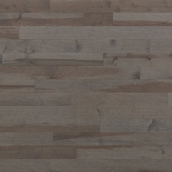 Lauzon Expert Essentials Smoky Grey 4 1/8 inch Maple Hardwood