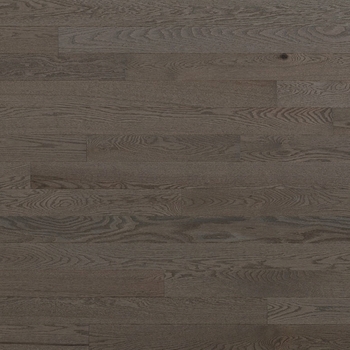Lauzon Expert Essentials Smoky Grey Solid 3 1/4 Red Oak Hardwood