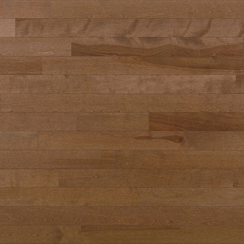 Lauzon Expert Essentials Cafe au Lait Solid 3 1/4 inch Yellow Birch Hardwood