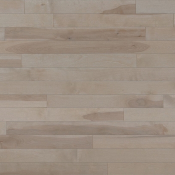 Lauzon Expert Essentials Gobi Solid 3 1/4 inch Yellow Birch Hardwood