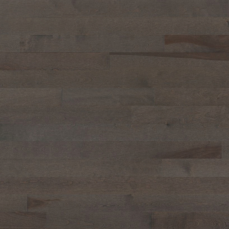 Lauzon Expert Essentials Smoky Grey Solid 2 1/4 inch Yellow Birch Hardwood