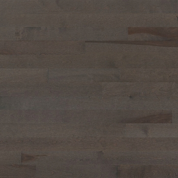Lauzon Expert Essentials Smoky Grey Solid 3 1/4 inch Yellow Birch Hardwood