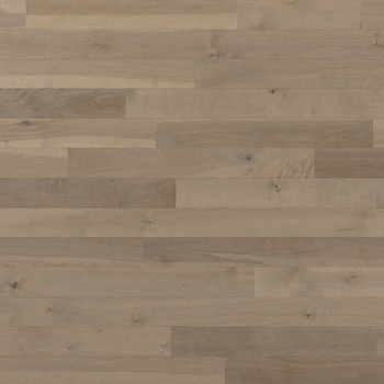 Lauzon Expert Essentials Talpa Solid 3 1/4 inch Yellow Birch Hardwood