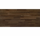 Lauzon Expert Essentials Terroso Solid 3 1/4 inch Yellow Birch Hardwood