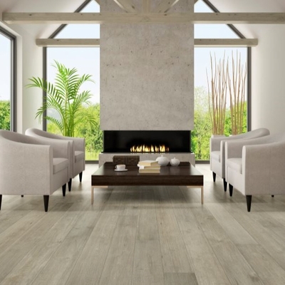 Lifecore Abella