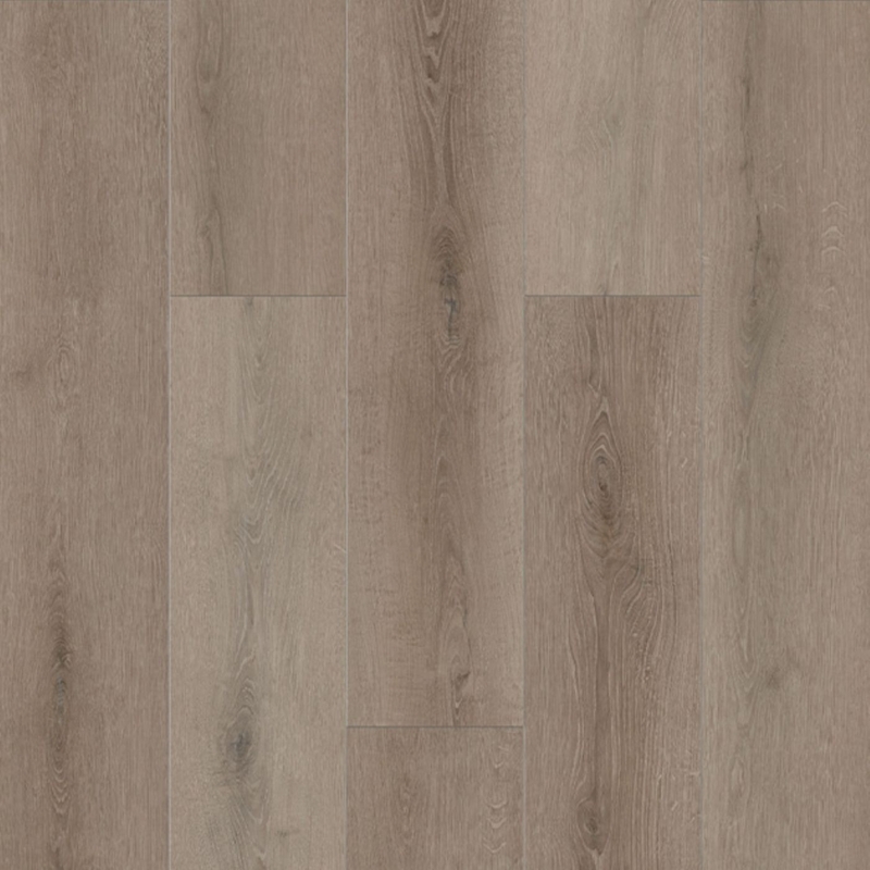 Lions Floor Bambino Coffee Feather
