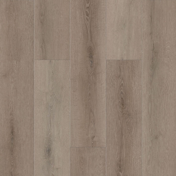Lions Floor Bambino Coffee Feather