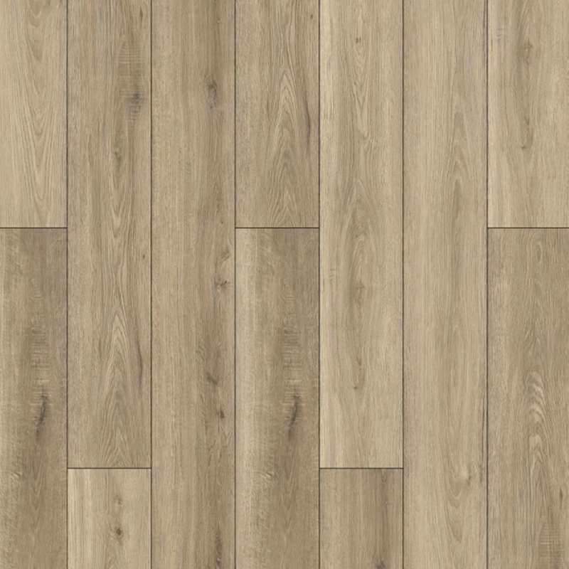 Lions Floor Bambino Dolce