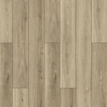 Lions Floor Bambino Dolce