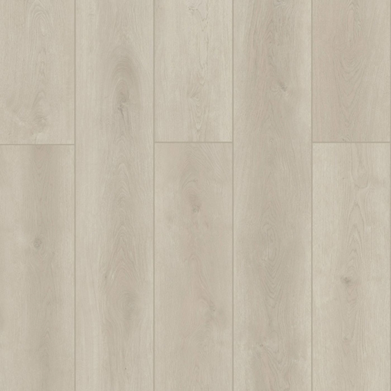 Lions Floor Indoor Delight Ashen Land