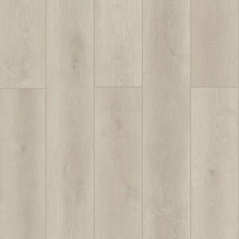 Lions Floor Indoor Delight Ashen Land
