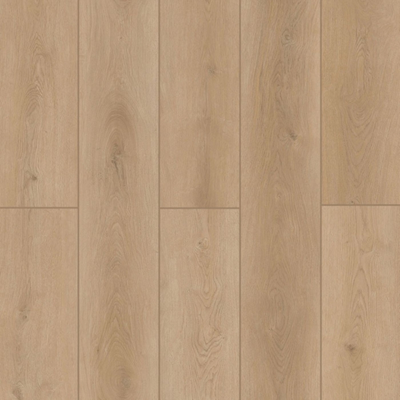 Lions Floor Indoor Delight Forest Timber