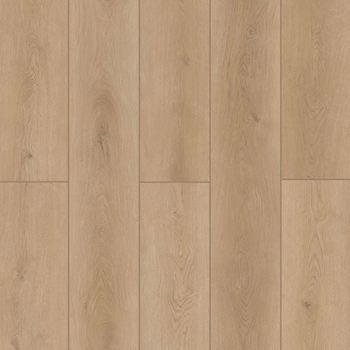 Lions Floor Indoor Delight Forest Timber