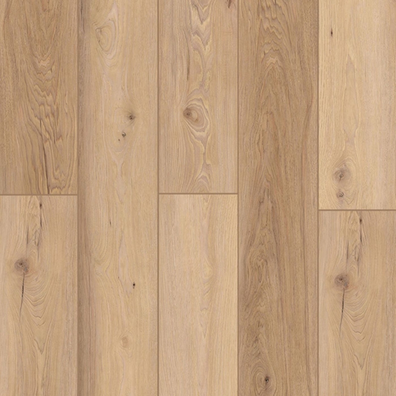 Lions Floor Indoor Delight Homewood Waltz