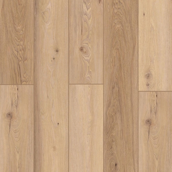 Lions Floor Indoor Delight Homewood Waltz
