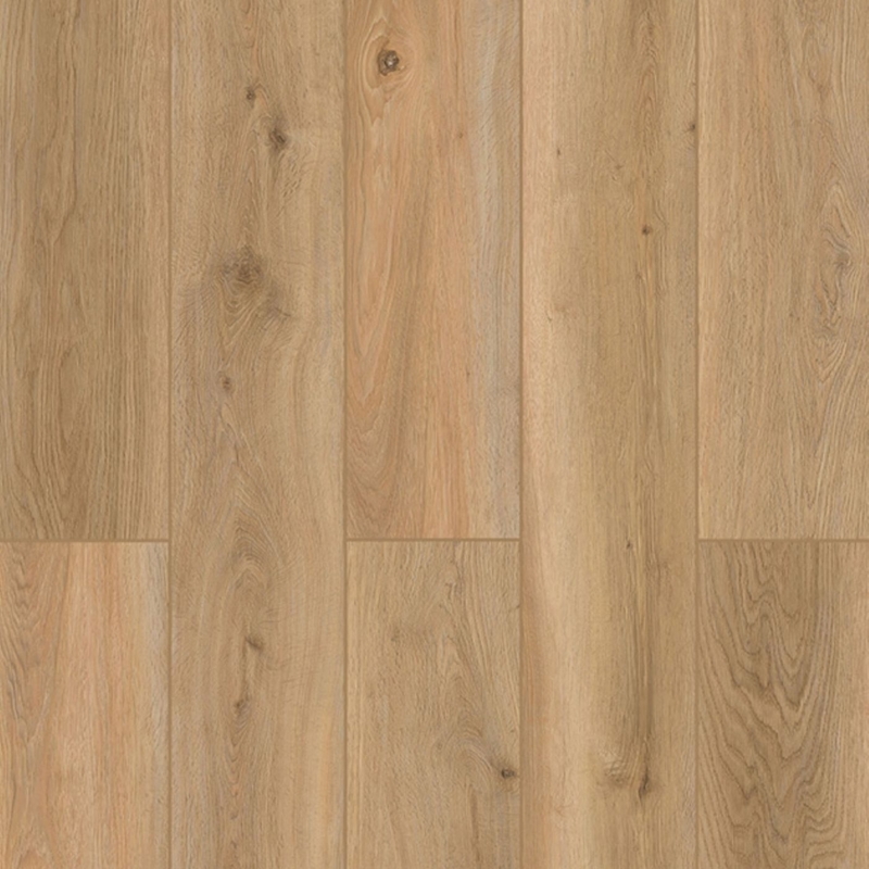Lions Floor Indoor Delight Shoreline Decor