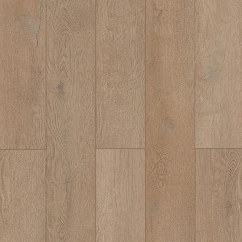 Lions Floor Indoor Delight Tannen Honey