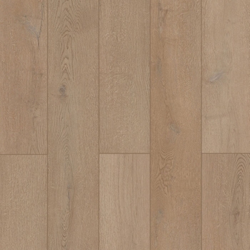 Lions Floor Indoor Delight Tannen Honey