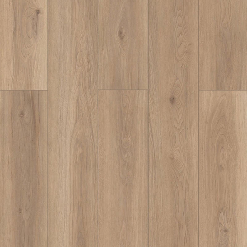 Lions Floor Lone Star Spirit XL Artisan Touch
