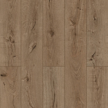 Lions Floor Lone Star Spirit XL Forgotten Bark