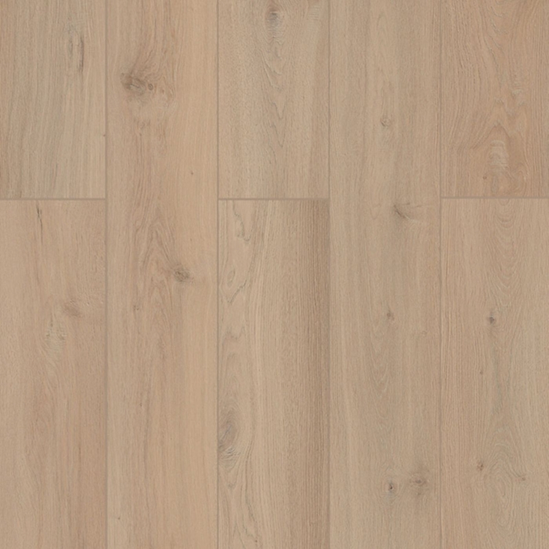 Lions Floor Lone Star Spirit XL Sea Shell