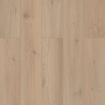 Lions Floor Lone Star Spirit XL Sea Shell