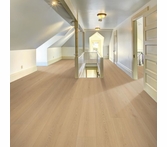 Lions Floor Seaside Summit Seashell Radiance