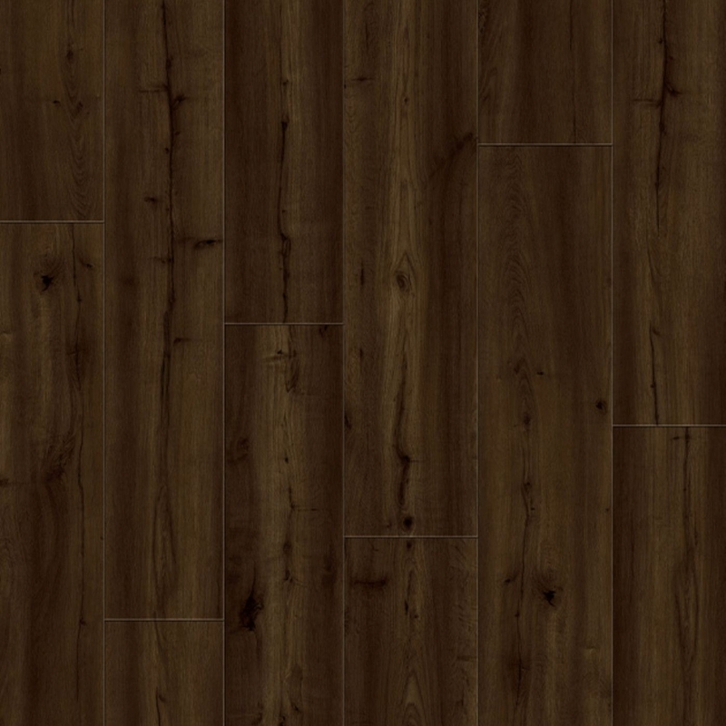 Lions Floor Trenta Hibiki