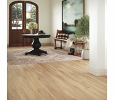 Mannington Adura Rigid Preservation Fossil