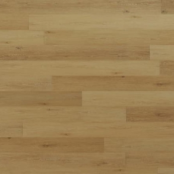 Mannington Adura Rigid Regency Oak Gilded Gold