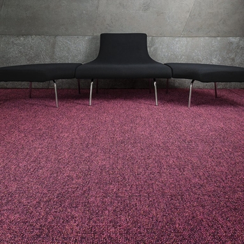 Mannington Boucle Carpet Tile