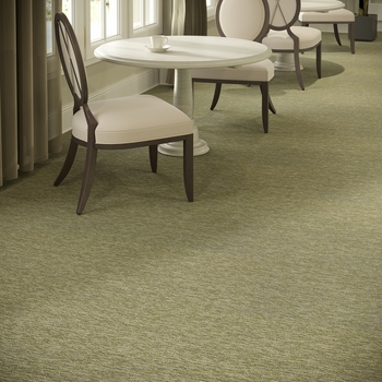 Mannington Camus Carpet Tile