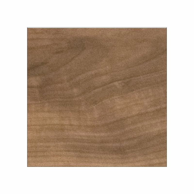 Mannington City Park Madison Maple Pepper Bark