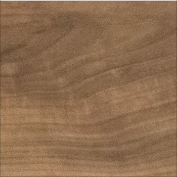 Mannington City Park Madison Maple Pepper Bark